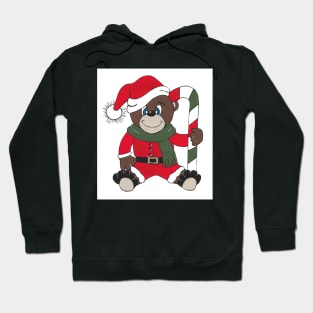 CHRISTMAS Teddy Bear Lover Hoodie